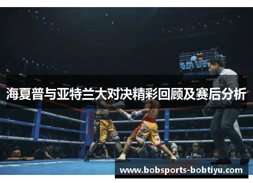 海夏普与亚特兰大对决精彩回顾及赛后分析