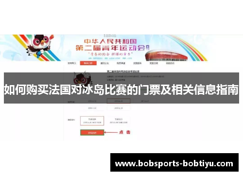 如何购买法国对冰岛比赛的门票及相关信息指南